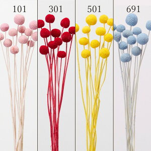 hCt[ ԍ Ƃ悹i r[{^ ԍ f ޗ p[c  bh sN F CG[ F hCt[ XbO u[P hCt[ԑ n_