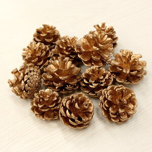 hCt[ ԍ o S[hR[ } Z S[h  }cJT JT ؂̎ Vp NX}X fBXvC CeA AW t[c ʎ