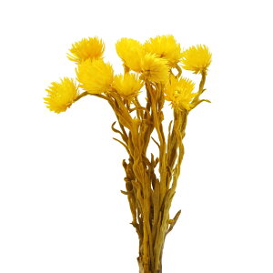 hCt[ ԍ o Vo[fCW[ T}[CG[ Vo[f[W[ ԍ f ޗ p[c hCt[ XbO u[P hCt[ԑ DIY f