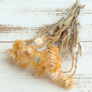 yP10{ 12/31܂ŁIz hCt[ ԍ o Vo[fCW[ CgIW Vo[f[W[ ԍ f ޗ p[c hCt[ XbO u[P hCt[ԑ DIY 