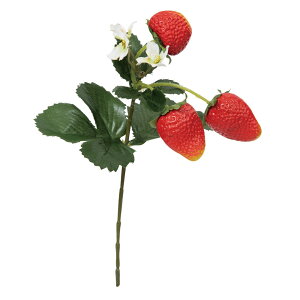 tFCNt[c Ƃ悹i Xgx[sbN  Xgx[ CeA C~e[V ԍ Ԏ f ޗ p[c    i` t  roH|