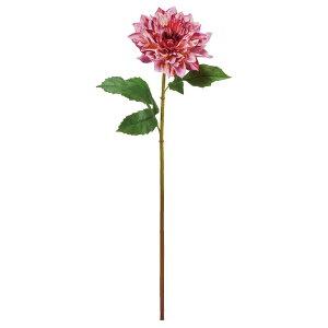 yP10{ z  Ƃ悹i _A VO Ă񂶂ڂ eWN{^ sN CeA CeAt[ tFCNt[ VNt[ ԍ DIY AXJ ASCA AXJ