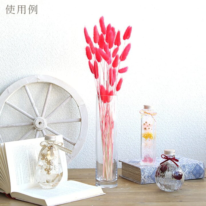 楽天市場】《ドライフラワー 花材》☆即日出荷☆MONO GPラグラス ドライ レッド穂 ドライフラワー スワッグ ブーケ ドライフラワー花束 花束 ふわふわ ドライフラワースワッグ リース アレンジ 花材 素材 材料 花 パーツ アレンジメント ナチュラル : 造花ドライフラワー ... 楽天市場】《ドライフラワー 花材》☆即日出荷☆MONO GPラグラス ドライ レッド穂 ドライフラワー スワッグ ブーケ ドライフラワー花束 花束 ふわふわ ドライフラワースワッグ リース アレンジ 花材 素材 材料 花 パーツ アレンジメント ナチュラル : 造花ドライフラワー ...
