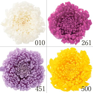 vU[uht[ ԍ Ƃ悹i ֋eE hCt[ ԍ f p[c ޗ n[oE vU[uh[Y uU[uh Preserving i` n_