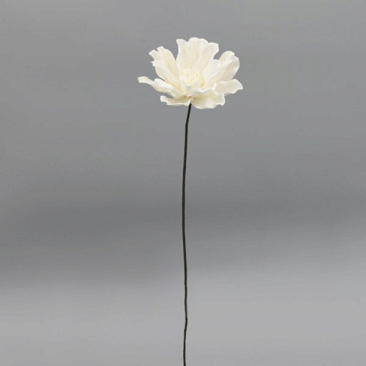 楽天市場 ハンドメイドフラワー 花材 とりよせ品 大地農園 ソーラーマグノリア 白白 ホワイト ソーラー ソーラーフラワー ソラフラワー 花材 材料 リース ブーケ 手作り ハンドメイド ドライフラワー スワッグ ブーケ ドライフラワー花束 花束 花材 造花ドライ