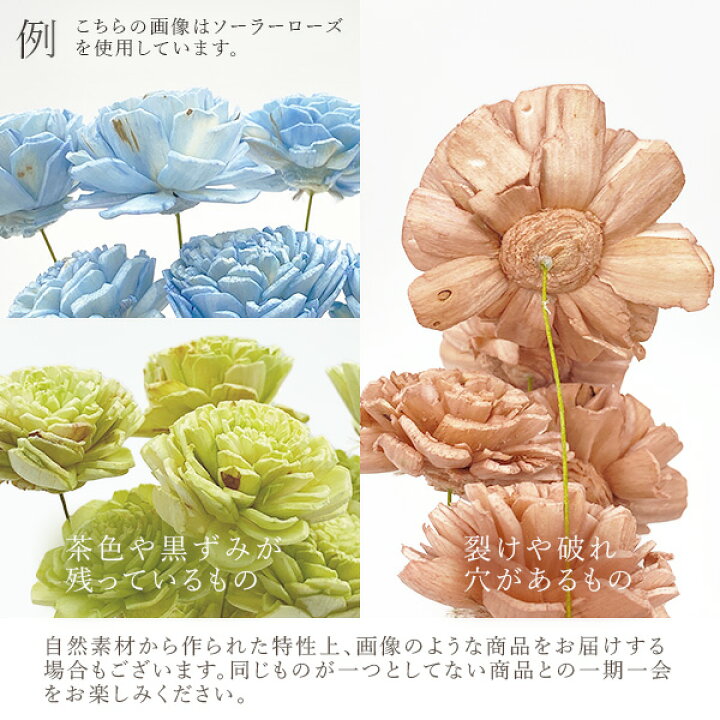 楽天市場 ハンドメイドフラワー 花材 とりよせ品 大地農園 ソーラーマグノリア 白ドライフラワー 白 ホワイト ソーラー ソーラーフラワー ソラフラワー 花材 材料 リース ブーケ 手作り ハンドメイド スワッグ ブーケ ドライフラワー花束 花束 花材 造花ドライ