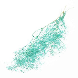 【ポイント15倍中 4/27 9:59迄】《ドライフラワー 花材》☆即日出荷☆アスカ ミニカスミ ターコイズ ターコイズかすみ カスミ かすみ草 カスミ草 ドライフラワー スワッグ ブーケ ドライフラワー花束 花束 ナチュラル ドライフラワースワッグ リー