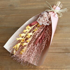 hCt[ AW Ƃ悹i hCt[u[PL  sN hCt[ vU[uht[ AWg ̓  v[g t[AW