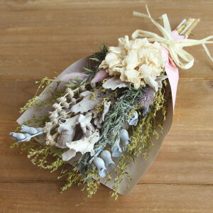 hCt[ AW Ƃ悹i hCt[u[PM  V[xbgu[ hCt[ vU[uht[ AWg ̓  v[g 