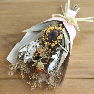 hCt[ AW Ƃ悹i hCt[u[PM  CG[IW hCt[ vU[uht[ AWg ̓  v[g Mtg