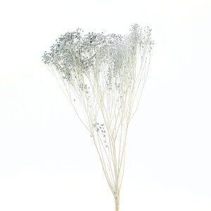 vU[uht[ ԍ o \jA X[L[u[ vU[uht[ XbO u[P hCt[ ԑ [X AW ԍ f ޗ  n_