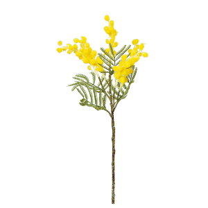 yP10{ z  Ƃ悹i ~UsbN CeA CeAt[ tFCNt[ VNt[ CeAO[ tFCNO[ ԍ Ԏ AXJ ASCA AXJ