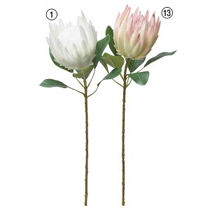 yP10{ 12/31܂ŁIz  Ƃ悹i veA CeA CeAt[ tFCNt[ VNt[ CeAO[ tFCNO[ A[gt[ AXJ ASCA AXJ