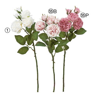 yP10{ 12/31܂ŁIz  Ƃ悹i [Y×3 ڂ×2 KN o ΂ Q ڂ sN  CeA CeAt[ tFCNt[ VNt[ ԍ AXJ ASCA AXJ