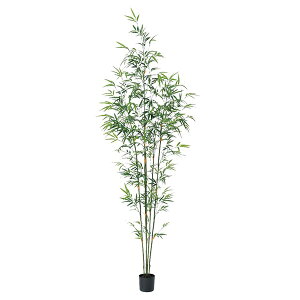 tFCNO[ ϗtA Ƃ悹i y[J[zou[c[(|bgt) 210cmssEiƂ̓st ϗtA 2m ^  AXJ ASCA AXJ