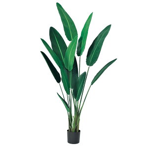 yP10{ z tFCNO[ ϗtA Ƃ悹i y[J[zgxp[(|bgt) 210cmssEiƂ̓st ϗtA 2m ^ 썑 AXJ ASCA AXJ