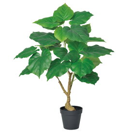 《 フェイクグリーン 観葉植物 》 ◆とりよせ品◆Asca(アスカ) ウンベラータ(ポット付) 60cm 観葉植物 60cm おしゃれ 人工観葉 インテリア インテリアフラワー フェイクフラワー シルクフラワー インテリアグリーン フェイクグリーン アートフラワー 安い