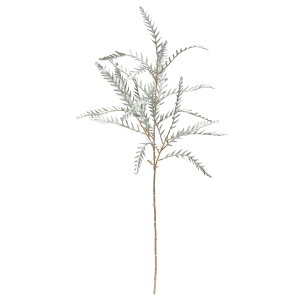 yP10{ z NX}X  O[ Ƃ悹i OrAXv[(t) VmumL Eт̖ nSmL H߂̖ LL AWx[X Vo[ AXJ ASCA AXJ