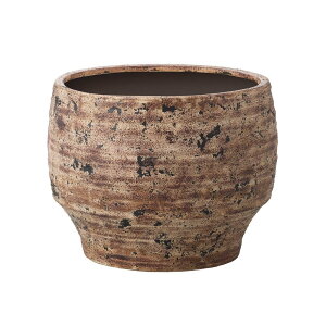  x[X Ƃ悹i Caldo(Jh)* R|[g CeA Ԏ Ԋ x[X AW   t[AWg y ̓  NX}X 