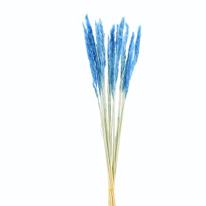 花 プリザーブドフラワー パンパスグラスの人気商品 通販 価格比較 価格 Com