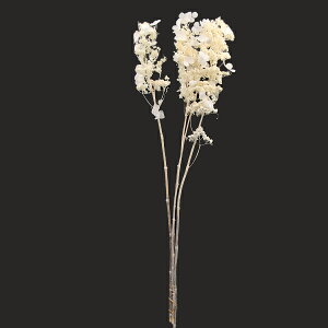 yP10{ z vU[uht[ ԍ o mEcM ItzCg zCg  AWTC  z Ԃт vU[uht[ XbO u[P ԑ [X n_