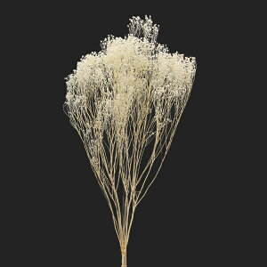 yP10{ z vU[uht[ ԍ o \jA ItzCg vU[uht[ XbO u[P hCt[ ԑ [X AW ԍ f ޗ p[c n_