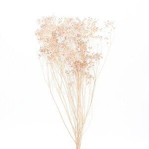 vU[uht[ ԍ o \jA sNx[W vU[uht[ XbO u[P hCt[ ԑ [X AW ԍ f ޗ  n_