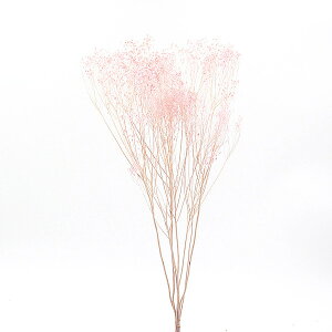 yP10{ z vU[uht[ ԍ o \jA sN vU[uht[ XbO u[P hCt[ ԑ [X AW ԍ f ޗ p[c  n_