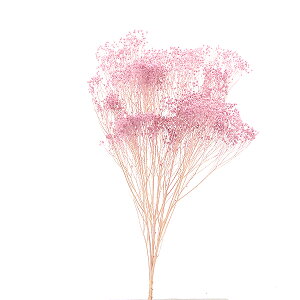 vU[uht[ ԍ o \jA GWFp[v vU[uht[ XbO u[P hCt[ ԑ [X AW ԍ f ޗ n_