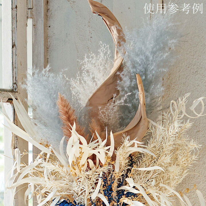 楽天市場】《ドライフラワー 花材》☆即日出荷☆大地農園 ストレチアリーフ ナチュラルリーフ ドライフラワー スワッグ ブーケ ドライフラワー花束 花束 ドライフラワースワッグ リース アレンジ 花材 素材 材料 花 パーツ アレンジメント ナチュラル 装飾 : 造花ドライ ... 楽天市場】《ドライフラワー 花材》☆即日出荷☆大地農園 ストレチアリーフ ナチュラルリーフ ドライフラワー スワッグ ブーケ ドライフラワー花束 花束 ドライフラワースワッグ リース アレンジ 花材 素材 材料 花 パーツ アレンジメント ナチュラル 装飾 : 造花ドライ ...