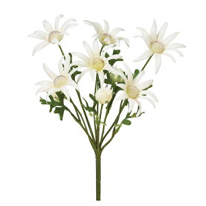 yP10{ 12/31܂ŁIz  Ƃ悹i tlt[ubV×6 ڂ×4 CeA CeAt[ tFCNt[ VNt[ CeAO[ t AXJ ASCA AXJ