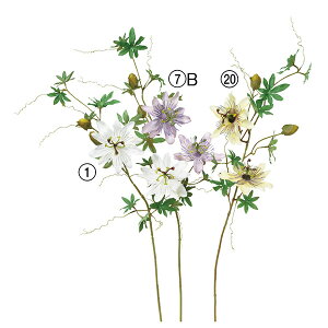  Ƃ悹i v×2 ڂ×2 gPC\E  p[v  CG[ F ڂ Q CeA CeAt[ tFCNt[ ԍ AXJ ASCA AXJ