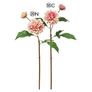 yP10{ z  Ƃ悹i _A×2 VO Ă񂶂ڂ eWN{^ CeA CeAt[ tFCNt[ VNt[ ԍ Ԏ AXJ ASCA AXJ