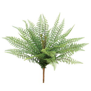 yP10{ 12/31܂ŁIz  O[ Ƃ悹i t@[ubV CeA tFCN O[ p[c CeAt[ tFCNt[ VNt[ ԍ f AXJ ASCA AXJ