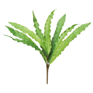 yP10{ 12/31܂ŁIz  O[ Ƃ悹i t@[[tubV CeA tFCN O[ p[c CeAt[ tFCNt[ VNt[ ԍ AXJ ASCA AXJ