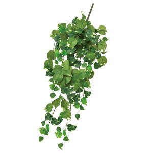 yP10{ 12/31܂ŁIz  tFCNO[ Ƃ悹i tBubV CeA ǖʗΉ EH[O[ tFCN p[c AWg CeAt[ ԍ AXJ ASCA AXJ