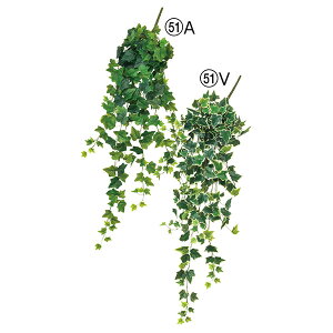 yP10{ 12/31܂ŁIz tFCNO[  Ƃ悹i ACr[nMOubV CeA ǖʗΉ EH[O[ tFCN p[c AWg ԍ Ԏ AXJ ASCA AXJ