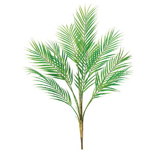  O[ Ƃ悹i p[[tubV CeA tFCN O[ p[c CeAt[ tFCNt[ VNt[ ԍ AXJ ASCA AXJ