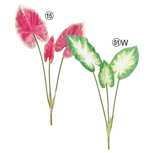 yP10{ 12/31܂ŁIz  O[ Ƃ悹i JW[ubV CeA tFCN O[ p[c CeAt[ tFCNt[ VNt[ ԍ AXJ ASCA AXJ