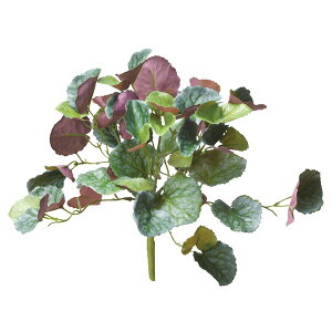  O[ Ƃ悹i [tubV CeA tFCN O[ p[c CeAt[ tFCNt[ VNt[ ԍ Ԏ AXJ ASCA AXJ