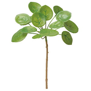  O[ Ƃ悹i yy~A CeA tFCN O[ p[c CeAt[ tFCNt[ VNt[ tFCNO[ AXJ ASCA AXJ