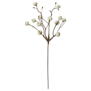 yP10{ z   O[  Ƃ悹i iLn[sbN gEn[ JeM ELEn[ GP ELE{N G? x[ ؂̎  Vt a AXJ ASCA AXJ