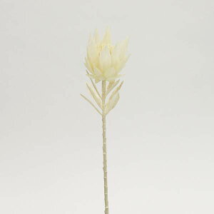 yP10{ 12/31܂ŁIz  Ƃ悹i Vr[veA veA CeA CeAt[ tFCNt[ VNt[ CeAO[ tFCNO[ A[gt[ 