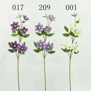 yP10{ 12/31܂ŁIz  Ƃ悹i N}`X N}`X ebZ JUO} CeA CeAt[ tFCNt[ VNt[ CeAO[ tFCNO[ 