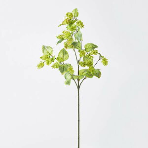  O[ Ƃ悹i zbvu` tFCNO[ CeAO[ } p[c CeAt[ tFCNt[ VNt[ A[gt[ ԍ f