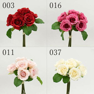 yP10{ z  Ƃ悹i [Yoh(6{/) ԑ u[P  o [Y KN CeA CeAt[ tFCNt[ VNt[ CeAO[ ԍ