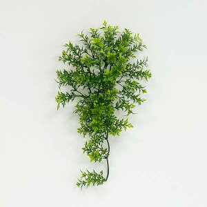  O[ Ƃ悹i eB[[toC tFCNO[ CeAO[ [t p[c CeAt[ tFCNt[ VNt[ A[gt[