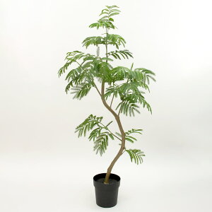 yP10{ }\z tFCNO[ ϗtA y[J[iz cCXgGo[tbV|bg 148cmssEiƂ̓st ϗtA ϗt tFCNO[ 