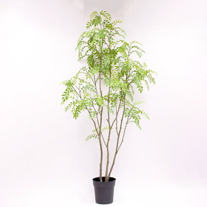 tFCNO[ ϗtA y[J[iz V}glR|bg 150cmssEiƂ̓st ϗtA ϗt tFCNO[ [t  썑 t