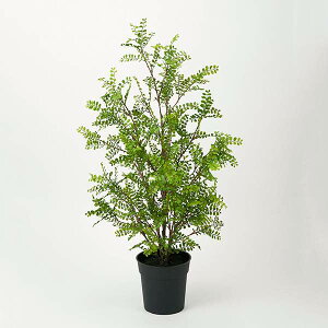 yP10{ 12/31܂ŁIz tFCNO[ ϗtA y[J[iz VNWX~|bg 100cmssEiƂ̓st ϗtA ϗt tFCNO[ [t  